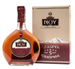 Brandy Classic 5 let 0,5L 40% NOY