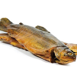 FOREL UZENÁ (pstruh)